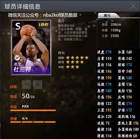 流行羽20